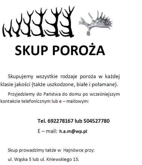 Skup Poroża